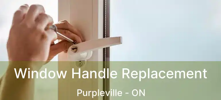  Window Handle Replacement Purpleville - ON