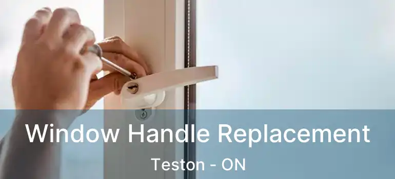  Window Handle Replacement Teston - ON
