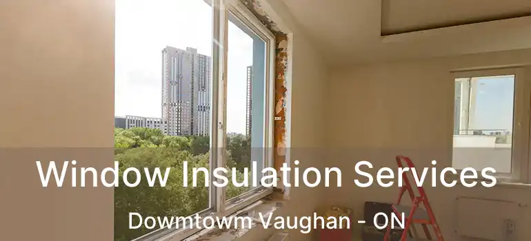 Window Insulation Services Dowmtowm Vaughan - ON