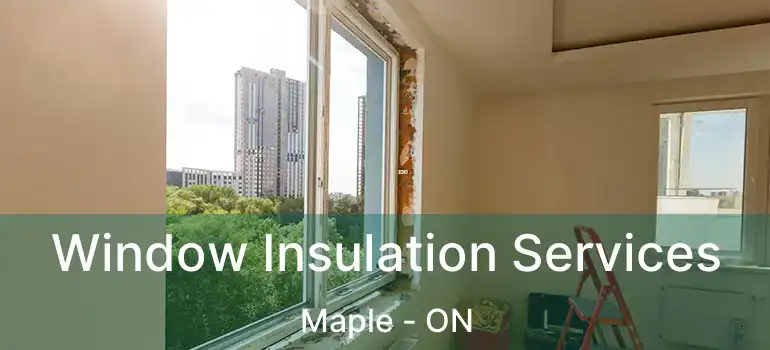  Window Insulation Services Maple - ON