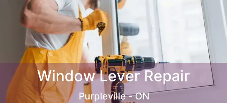  Window Lever Repair Purpleville - ON