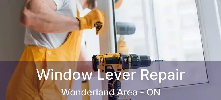  Window Lever Repair Wonderland Area - ON