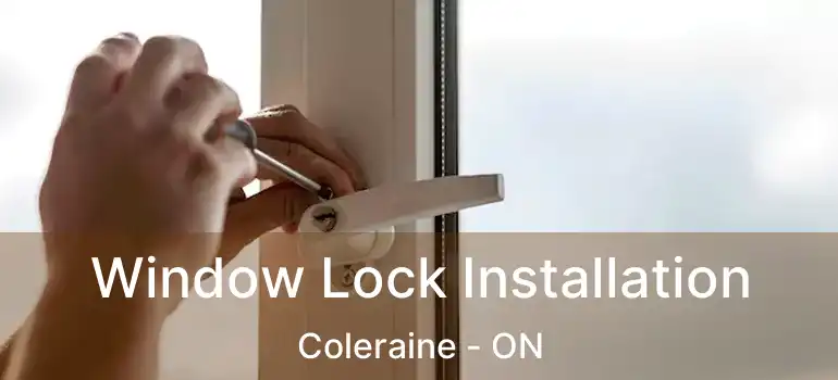  Window Lock Installation Coleraine - ON