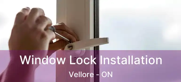 Window Lock Installation Vellore - ON