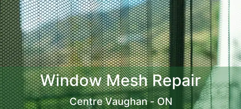  Window Mesh Repair Centre Vaughan - ON