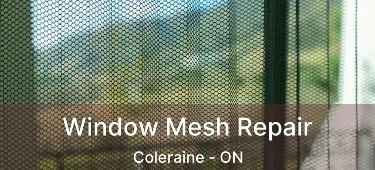 Window Mesh Repair Coleraine - ON