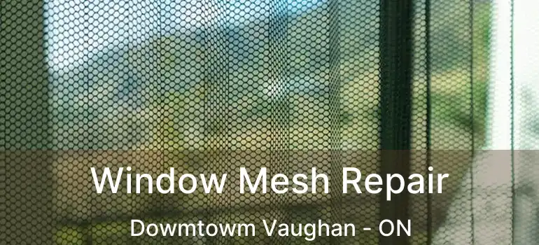  Window Mesh Repair Dowmtowm Vaughan - ON
