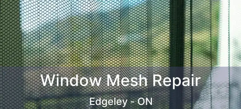  Window Mesh Repair Edgeley - ON