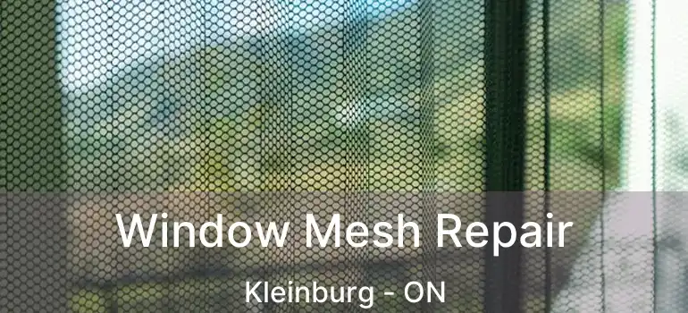 Window Mesh Repair Kleinburg - ON