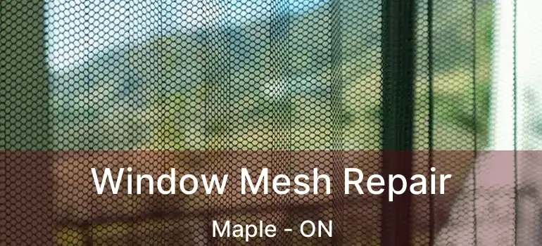  Window Mesh Repair Maple - ON
