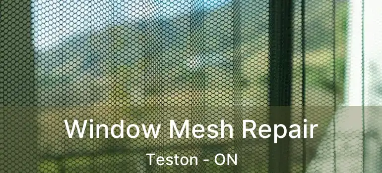 Window Mesh Repair Teston - ON