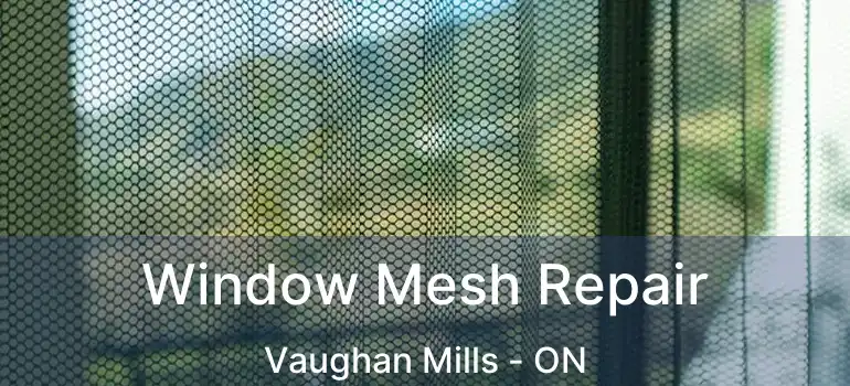  Window Mesh Repair Vaughan Mills - ON