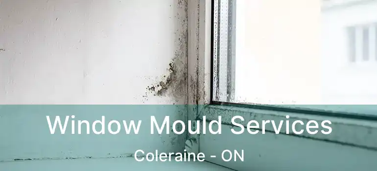  Window Mould Services Coleraine - ON