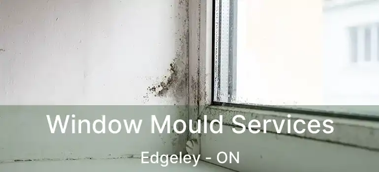  Window Mould Services Edgeley - ON