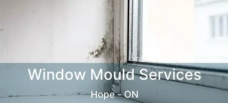  Window Mould Services Hope - ON
