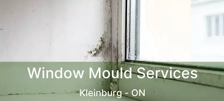  Window Mould Services Kleinburg - ON