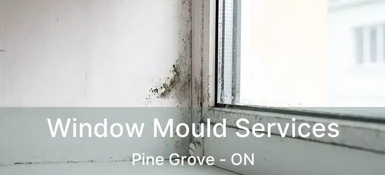  Window Mould Services Pine Grove - ON