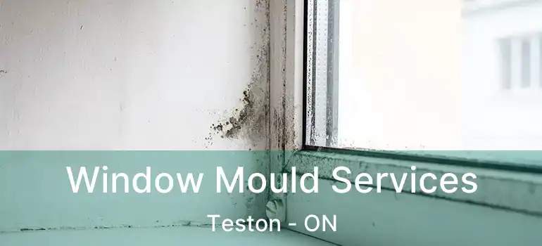  Window Mould Services Teston - ON