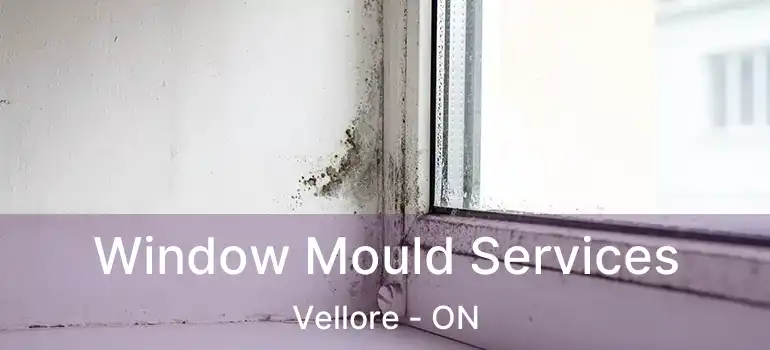  Window Mould Services Vellore - ON