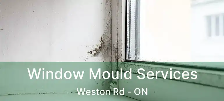  Window Mould Services Weston Rd - ON