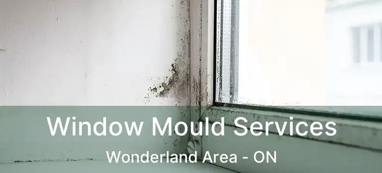  Window Mould Services Wonderland Area - ON