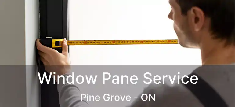 Window Pane Service Pine Grove - ON