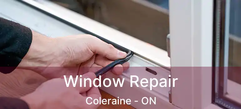  Window Repair Coleraine - ON