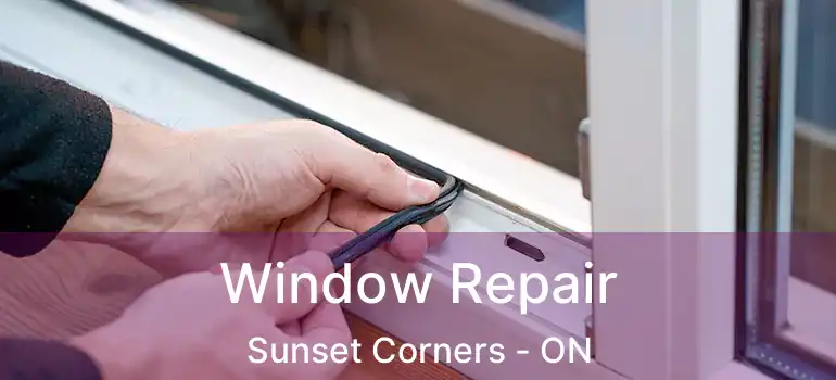  Window Repair Sunset Corners - ON