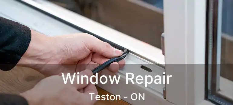  Window Repair Teston - ON