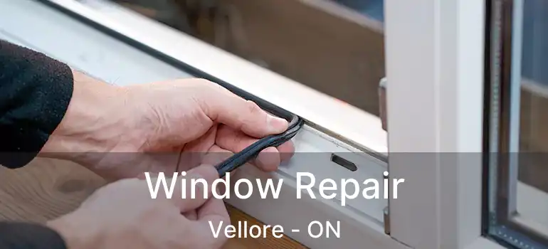 Window Repair Vellore - ON