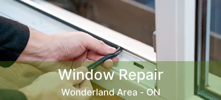 Window Repair Wonderland Area - ON