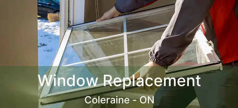 Window Replacement Coleraine - ON