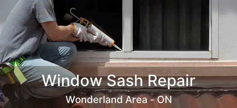  Window Sash Repair Wonderland Area - ON
