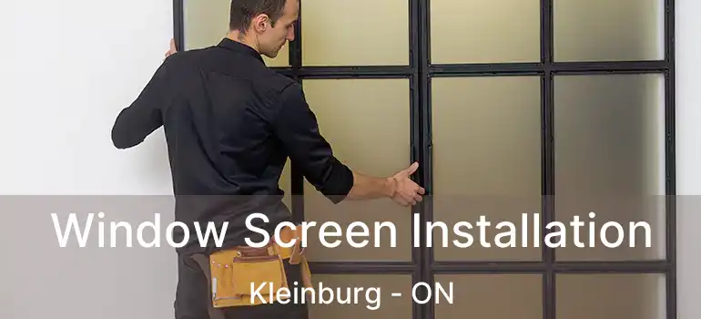  Window Screen Installation Kleinburg - ON