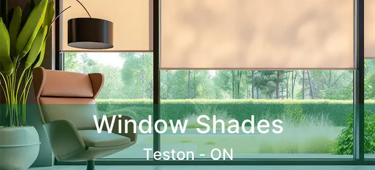 Window Shades Teston - ON