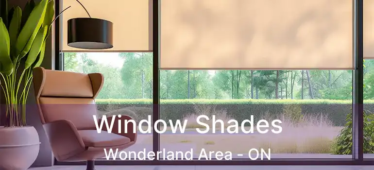  Window Shades Wonderland Area - ON