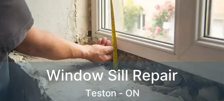 Window Sill Repair Teston - ON
