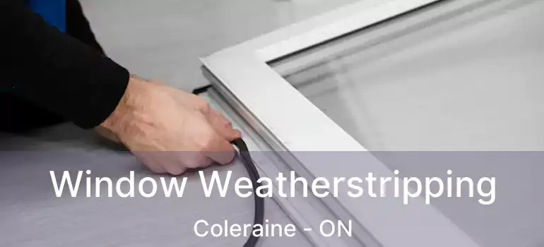 Window Weatherstripping Coleraine - ON