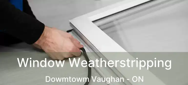 Window Weatherstripping Dowmtowm Vaughan - ON