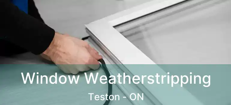  Window Weatherstripping Teston - ON