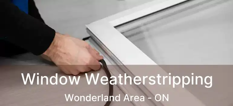 Window Weatherstripping Wonderland Area - ON