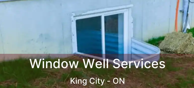 Window Well Services King City - ON