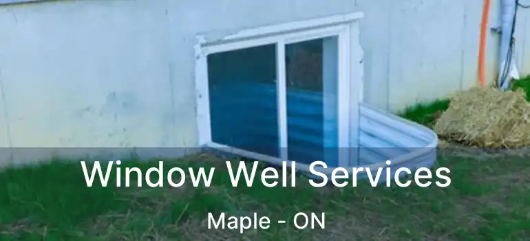 Window Well Services Maple - ON