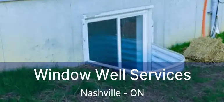 Window Well Services Nashville - ON