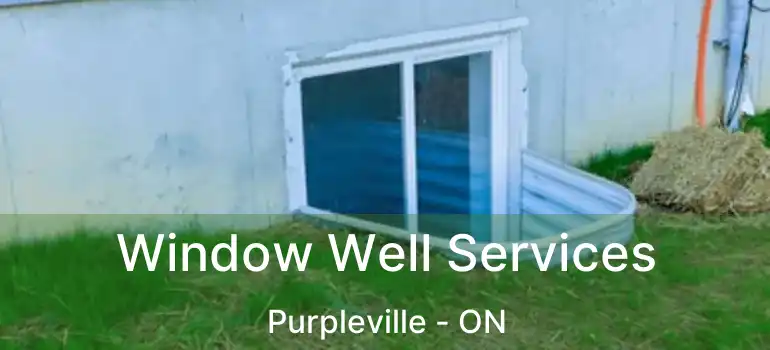 Window Well Services Purpleville - ON