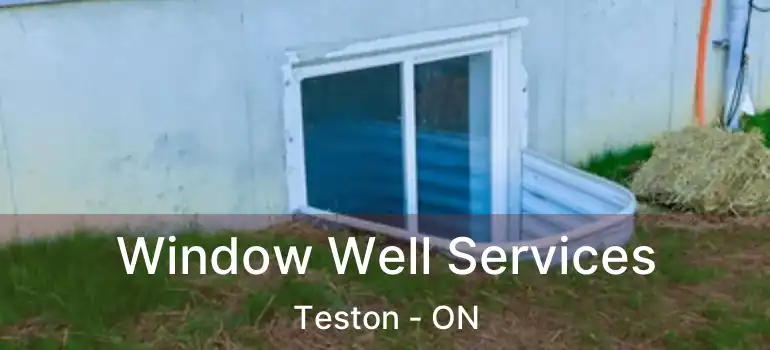 Window Well Services Teston - ON
