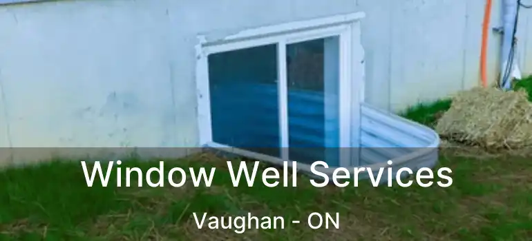 Window Well Services Vaughan - ON
