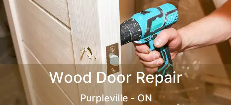 Wood Door Repair Purpleville - ON