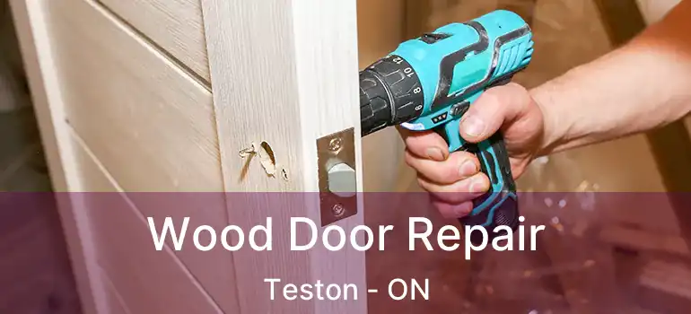 Wood Door Repair Teston - ON